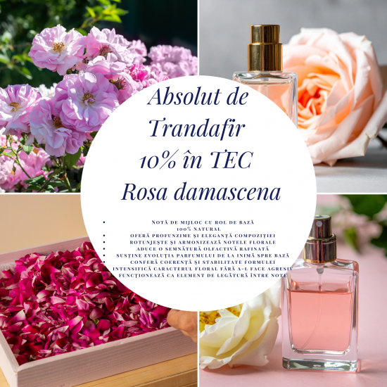 Absolut de Trandafir 10% în TEC – Rosa damascena-10ml
