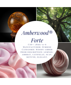 Amberwood® Forte-10g
