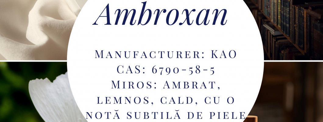 Cum se creează un parfum: de la molecule și uleiuri esențiale la stabilitate, siaj și persistență