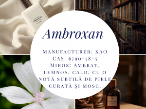 Cum se creează un parfum: de la molecule și uleiuri esențiale la stabilitate, siaj și persistență