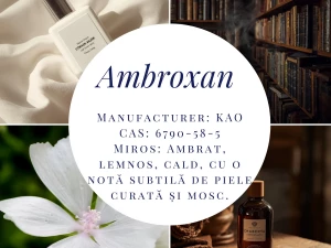 Cum se creează un parfum: de la molecule și uleiuri esențiale la stabilitate, siaj și persistență