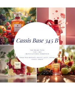 Cassis Base 345 B-10g