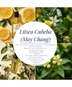 Litsea Cubeba (May Chang)-10g
