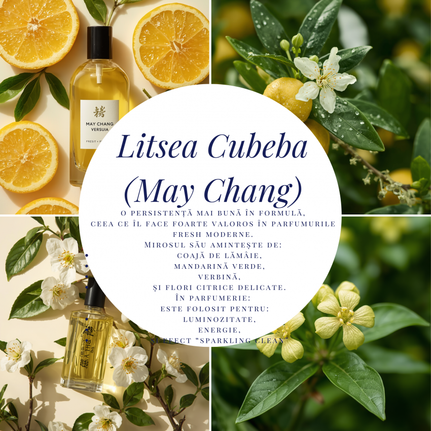 Litsea Cubeba (May Chang)-10g
