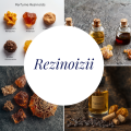 Rezinoizi