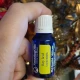 DAFIN- ulei esential 100%pur-BAY LEAF(Laurus nobilis)-15ml