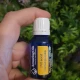  SEMINTE DE MARAR-ulei esential 100% pur -DILL SEED (Anethum graveolens)-15ml