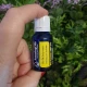 HELICHRYSUM Ulei esential 100%pur-HELICHRYSUM OIL(Helichrysum italicum) 15ml