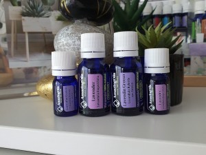 Chemotipurile  lavandei ,componentii chimici regasiti si beneficiile lor asupra sanatatii