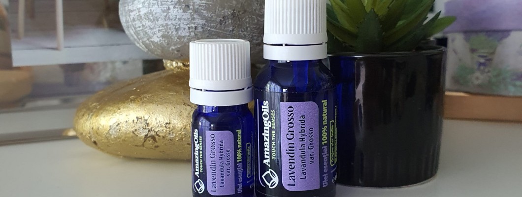 Cateva cuvinte despre Lavendula Hybrida var. Grosso