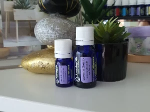 Cateva cuvinte despre Lavendula Hybrida var. Grosso