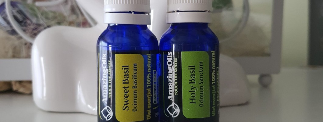 Diferentele dintre uleiurile esentiale de HOLY BASIL OIL (Ocimum sanctum)  si SWEET BASIL(Ocimum basilicum)