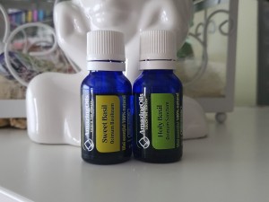 Diferentele dintre uleiurile esentiale de HOLY BASIL OIL (Ocimum sanctum)  si SWEET BASIL(Ocimum basilicum)