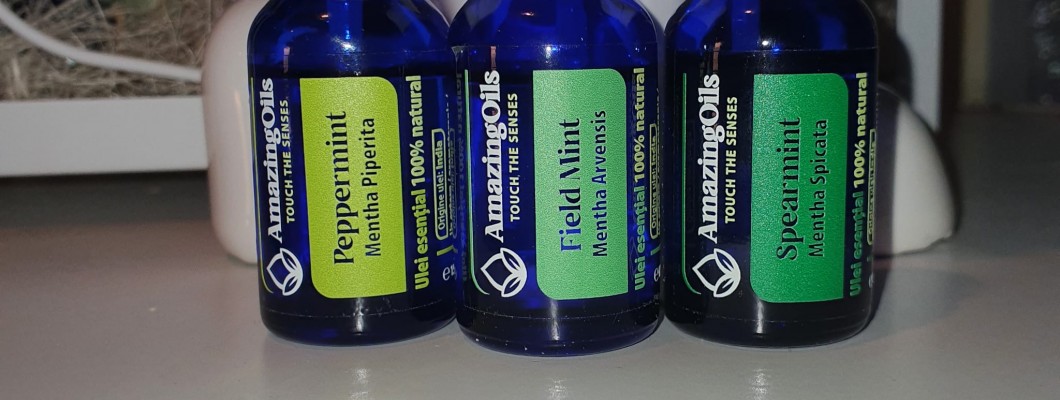 Compusii chimici ce se regasec in uleiurile  esentiale de MENTA-peppermint,spicata,arvensis si beneficiile lor pentru sanatate