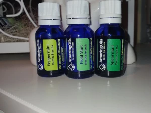 Compusii chimici ce se regasec in uleiurile  esentiale de MENTA-peppermint,spicata,arvensis si beneficiile lor pentru sanatate