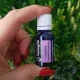 LAVANDA  FINA -Ulei esential 100% pur - LAVENDER (Lavandula angustifolia)  15 ml