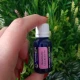 ROZMARIN - Ulei esential 100% pur -  ROSEMARY OIL (Salvia rosmarinus) 15ml