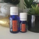 ANASON STELAT - Ulei esential 100% pur -   STAR ANISE OIL (Illicium verum) 15 ml