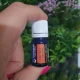 ANASON STELAT - Ulei esential 100% pur - STAR ANISE OIL (Illicium verum) 5 ml