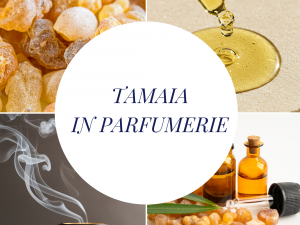 Tamaia in parfumerie