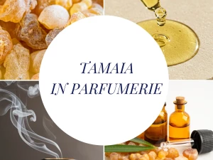 Tamaia in parfumerie