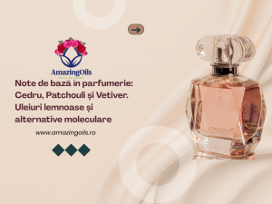Note de bază în parfumerie: Cedru, Patchouli și Vetiver Uleiuri lemnoase și alternative moleculare