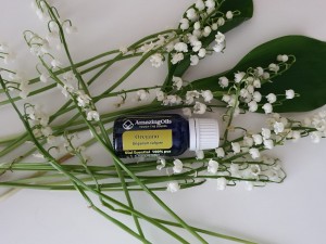 Uleiul de Oregano pentru Probleme de Sănătate: Cum să abordezi Infecțiile Respiratorii si Infecțiile Fungice