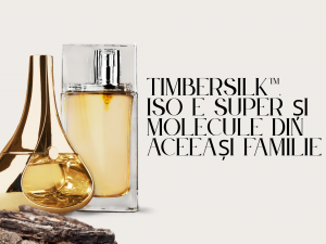 Timbersilk™, Iso E Super și molecule din aceeași familie –  Diferențe și Utilizare în Parfumerie