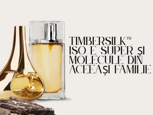 Timbersilk™, Iso E Super și molecule din aceeași familie –  Diferențe și Utilizare în Parfumerie