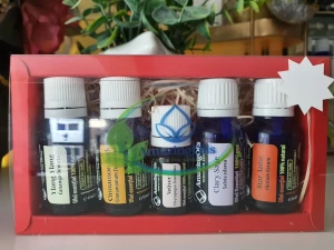 Ghidul complet al uleiurillor esențiale: beneficii, proprietăți și utilizare
