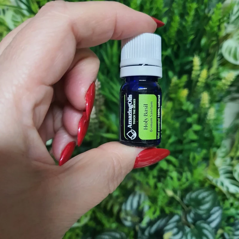   BUSUIOC SFANT-Ulei esential 100% pur -HOLY BASIL  (Ocimum sanctum)  5 ml 