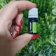   BUSUIOC SFANT-Ulei esential 100% pur -HOLY BASIL  (Ocimum sanctum)  5 ml 
