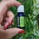   BUSUIOC SFANT-Ulei  esential 100% pur-HOLY BASIL  OIL (Ocimum sanctum) 15 ml 