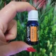  SEMINTE DE MORCOV -Ulei esential 100% pur - CARROT seeds (Daucus carota)-15 ml