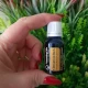   BATON DE SCORTISOARA -Ulei esential 100% pur - Cinnamomum zeylanicum 15 ml