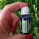  CITRONELLA -Ulei esential 100% pur - CITRONELLA OIL (Cymbopogon nardus) 15 ml
