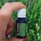 FRUNZE de SCORTISOARA -Ulei esential 100% pur -  CINNAMON LEAF OIL (Cinnamomum zeylanicum) 15 ml