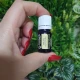 DAVANA-Ulei esential 100% pur- (Artemisia pallens)-5ml