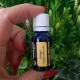  GHIMBIR - Ulei esential 100% pur -  GINGER OIL (Zingiber officinale) -15 ml 