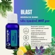 BLAST Amestec de uleiuri esentiale100 % pur -15 ml