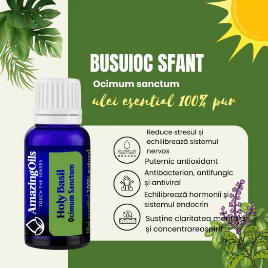   BUSUIOC SFANT-Ulei esential 100% pur -HOLY BASIL  (Ocimum sanctum)  5 ml 