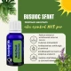   BUSUIOC SFANT-Ulei esential 100% pur -HOLY BASIL  (Ocimum sanctum)  5 ml 