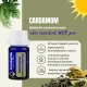  CARDAMOM-  Ulei esential 100% pur - CARDAMOM OIL (Elettaria Cardamomum)-5ml