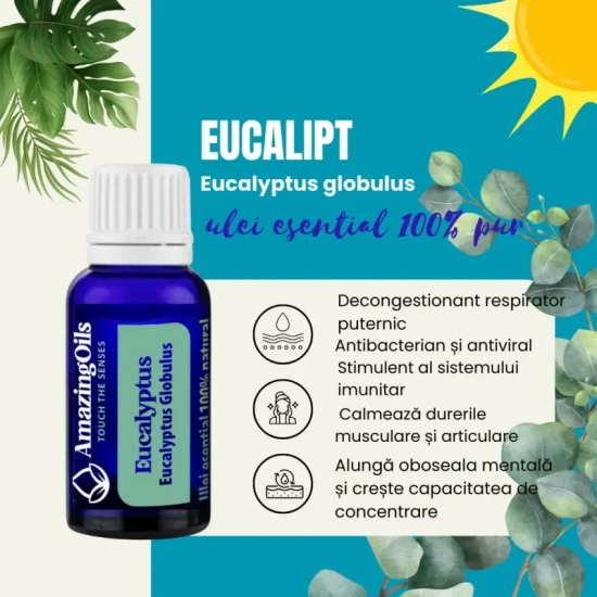  EUCALIPT -Ulei  esential 100% pur- EUCALYPTUS OIL (Eucalyptus globulus)-15 ml