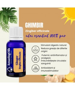  GHIMBIR - Ulei esential 100% pur -  GINGER OIL (Zingiber officinale) -15 ml 