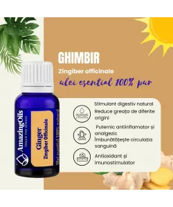  GHIMBIR - Ulei esential 100% pur -  GINGER OIL (Zingiber officinale) -15 ml 
