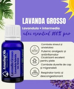  LAVANDA -  Ulei esential 100% pur - LAVANDIN  (Lavendula Hybrida var. Grosso) 15ml