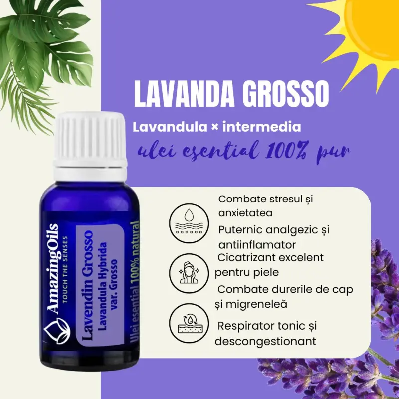  LAVANDA- Ulei esential 100% pur -  (Lavendula Hybrida var. Grosso) 5ml