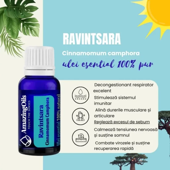  RAVINTSARA -Ulei  esential 100% pur (Cinnamomum camphora) 15 ml