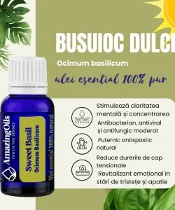  BUSUIOC DULCE -Ulei esential 100% pur -  SWEET BASIL (0scilium basilicum)-15 ml